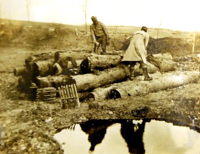 Logs being cut into firewood by German prisoners in the Argonne Forest, Grandpre, France, 1919 (32140190352) photo