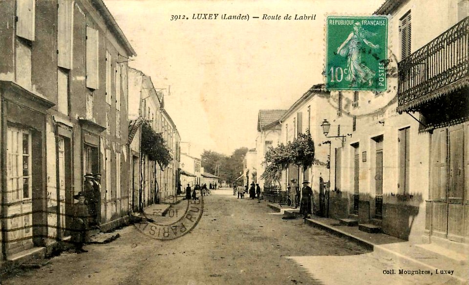 Luxey - Route de Labrit
