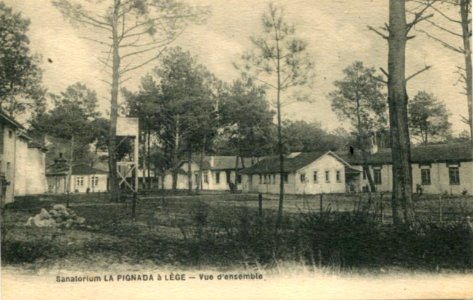 Lège - La Pignada 1