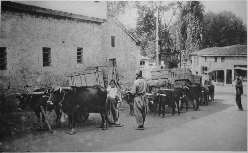 M 128 2 un convois pour Erzeroum partant de Trébizonde