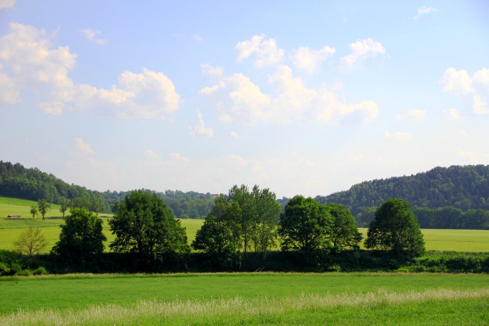 Summer arable sunlight