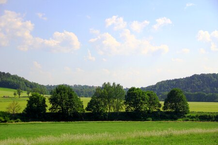 Summer arable sunlight