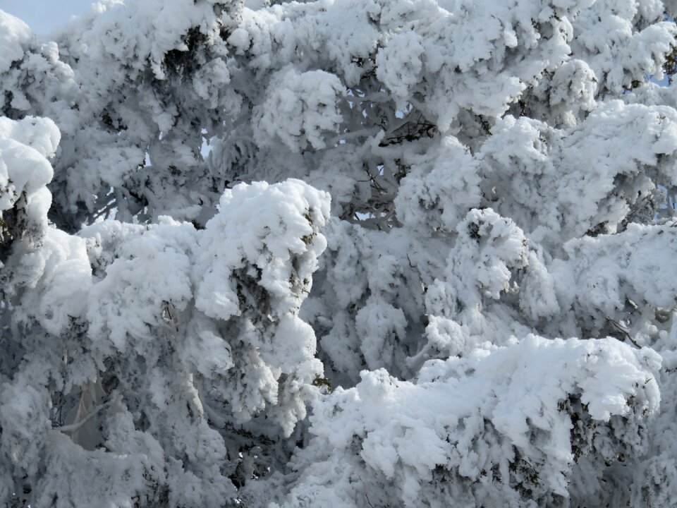 Natural cold cover