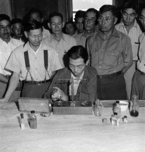 Manzanar Relocation Center, Manzanar, California. Chemists, nurserymen, and plant propagators at th . . . - NARA - 538037 (cropped)