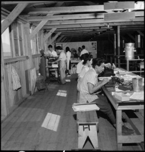 Manzanar Relocation Center, Manzanar, California. Staff of the Manzanar Free Press at work. This i . . . - NARA - 538168