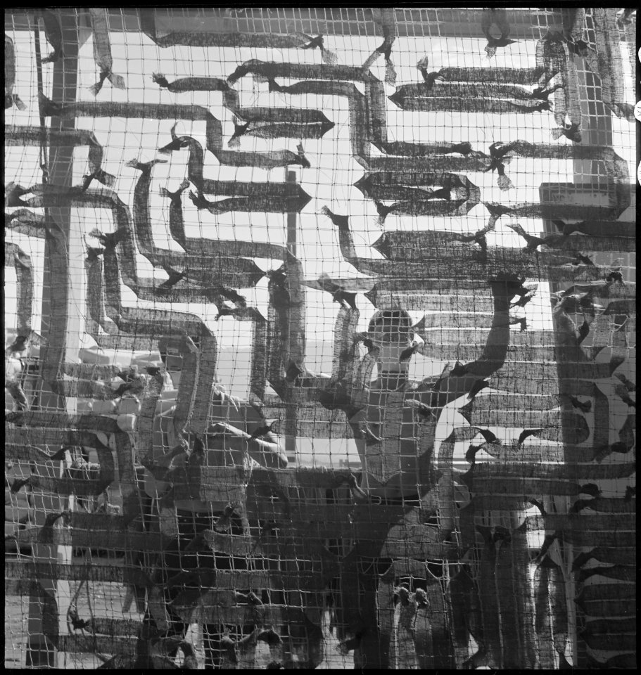 Manzanar Relocation Center, Manzanar, California. Making camouflage nets for the War Department. T . . . - NARA - 538110