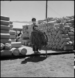 Manzanar Relocation Center, Manzanar, California. Making camouflage nets for the War Department. T . . . - NARA - 538114 photo