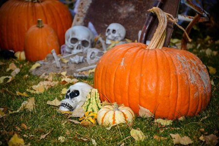 Fall thanksgiving gourd