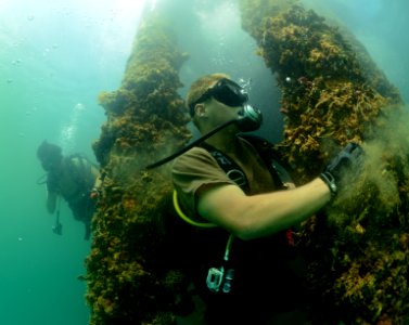 Maritime improvised explosive device (IED) familiarization dive, RIMPAC 2014 140723-N-TM257-207