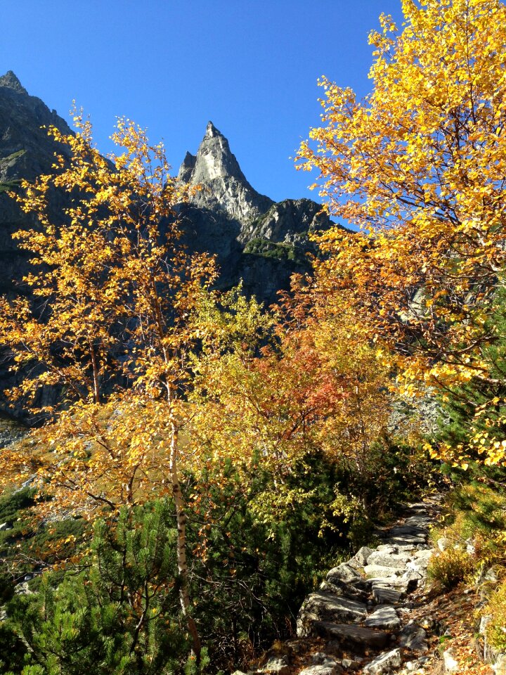 The high tatras landscape nature