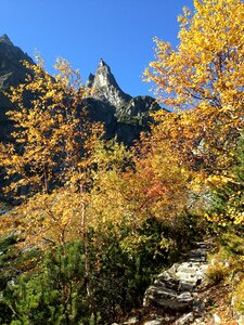 The high tatras landscape nature