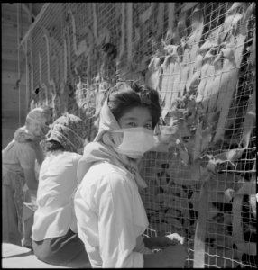 Manzanar Relocation Center, Manzanar, California. Making camouflage nets for the War Department. T . . . - NARA - 538116 photo