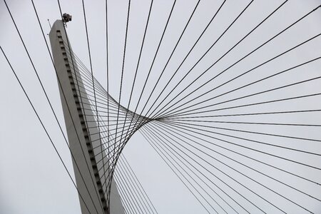 Bridge light rail train photo