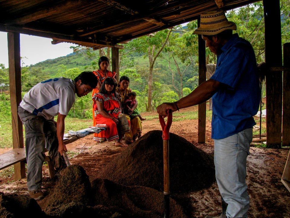 Mixing materials for earth stoves in Cascabel
