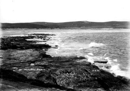 Maroubra Beach from The Powerhouse Museum