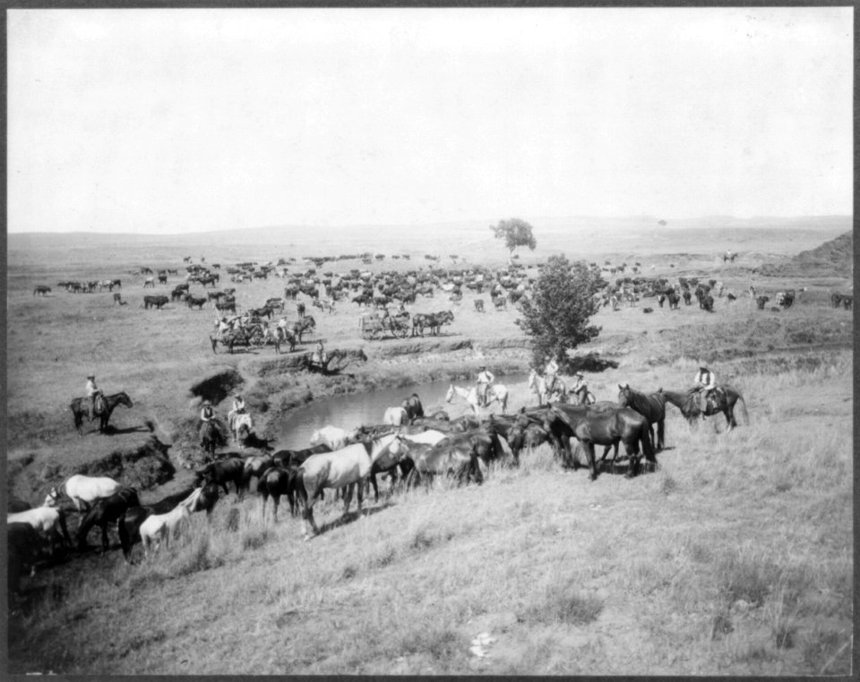 Mount and Day Herd LCCN2004679505