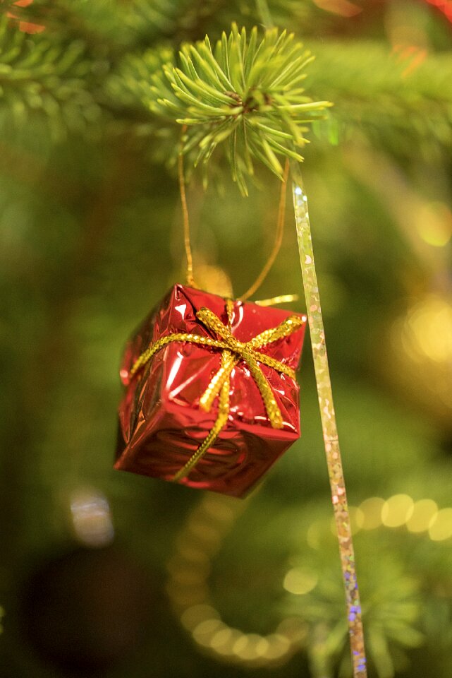 Decoration xmas winter