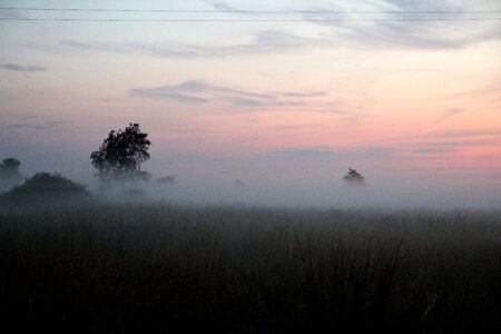 Landscape summer mystery