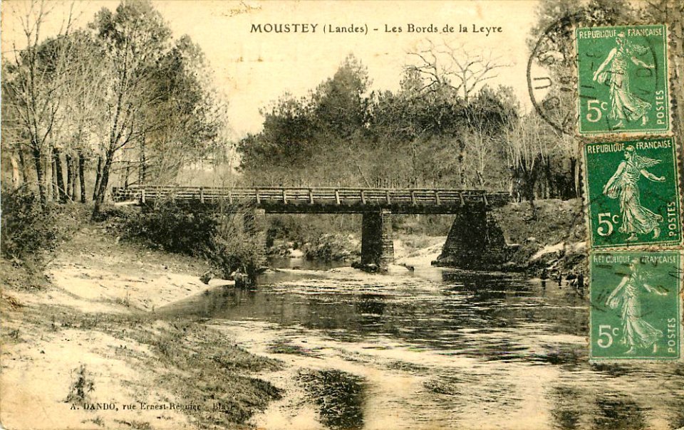 Moustey (Landes) - bords de la Leyre 1