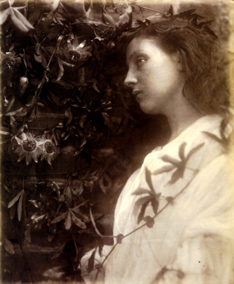 Maud, by Julia Margaret Cameron