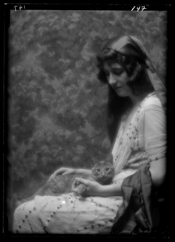 Maude, Bonnie, Miss, with Buzzer the cat, portrait photograph LOC agc.7a13331