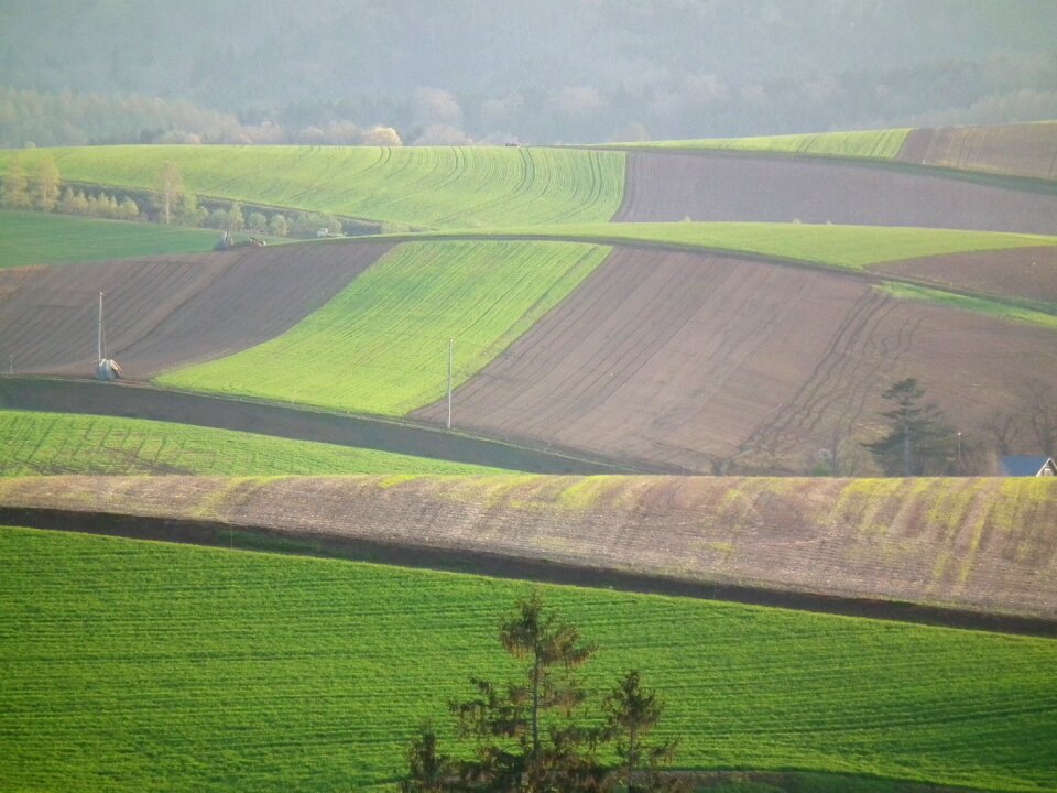 Hills field arable land