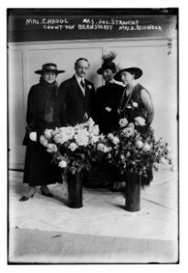 Mrs. C. Hauge, Mrs. Jos. Stransky, Count Von Bernstorff, Mrs. H. Reisinger LCCN2014701367