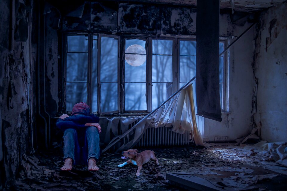Dog room lost place