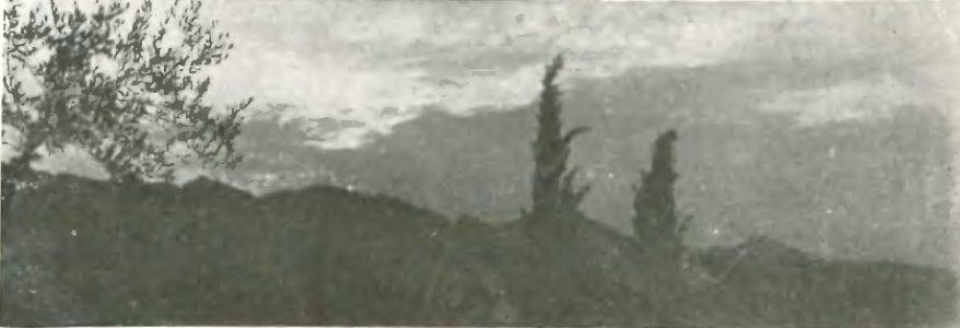 Matini - In Mugello (page 1 crop)