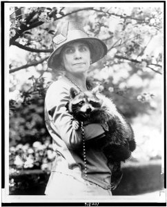 Mrs. Calvin Coolidge, half-length portrait, standing, facing front, holding her pet raccoon Rebecca LCCN90714615 photo