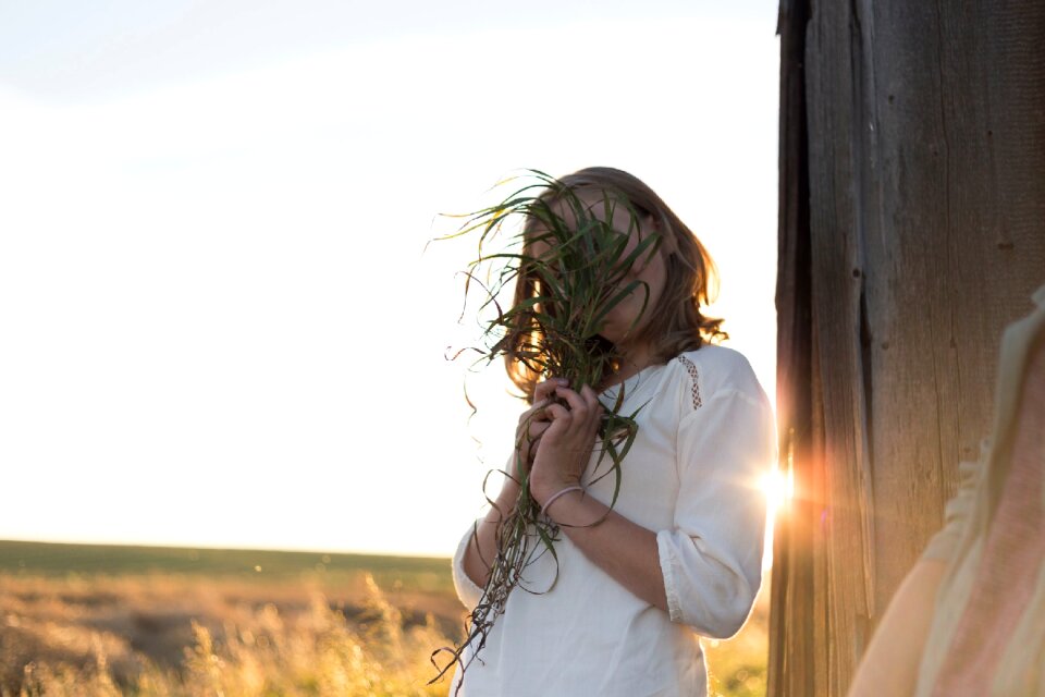 Nature sunlight sunshine