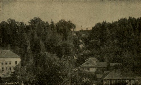 Mazyr, Śvidoŭskaja, Kianievič. Мазыр, Сьвідоўская, Кяневіч (E. Navicki, 1908)