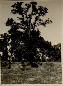 Nachthilfszielgerät (BildID 15545784) photo