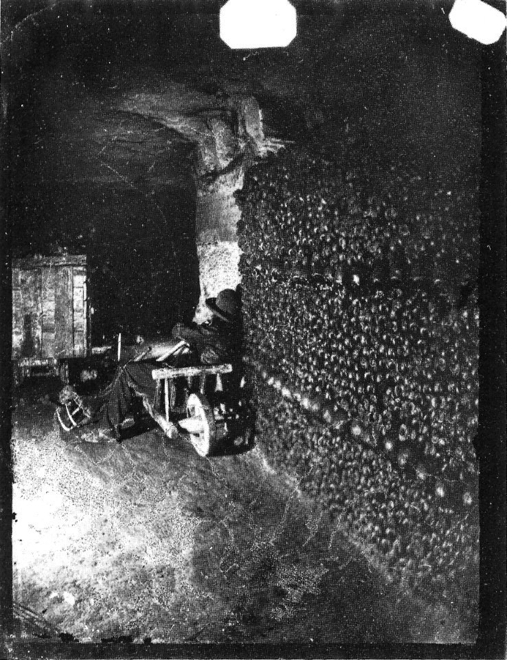 Nadar - Catacombes de Paris - NPS 95