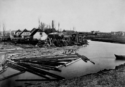 Nach der Sturmflut vom 12. und 13.11.1872 am Ellerbeker Fördeufer (Kiel 44.938)