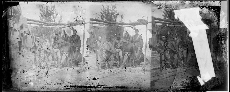N.Y. 33rd Infantry - NARA - 529551