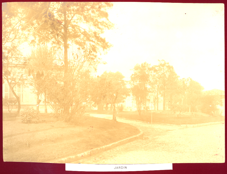 MG-53-017 (Hospital Rawson. Jardín.)