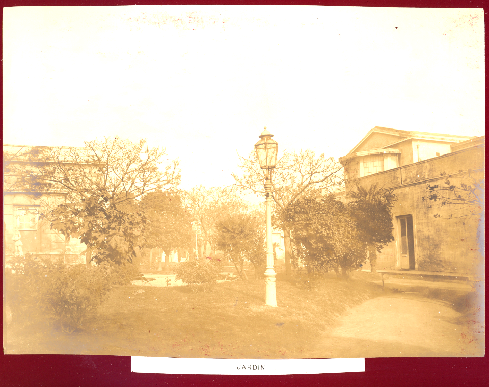 MG-53-016 (Hospital Rawson. Jardín.)