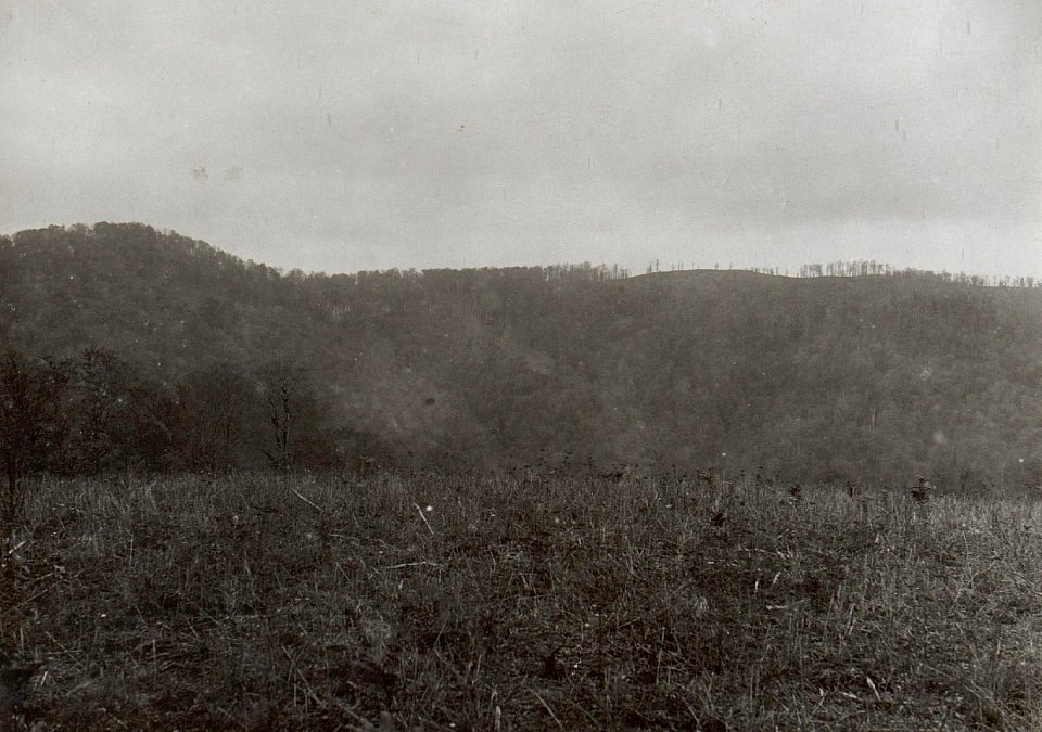 Panorama von der Kosutnja Stopa über Jagodnja bis zum Rücken gegen Kote 769. Ganz rechts die Peterhöhe aufgenommen von 787 (BildID 15660694)