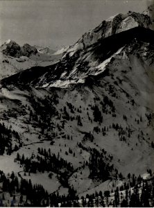 Panorama, Col di Lana, Monte Sief. Standpunkt Sasso di Stria. (2. Teilbild zu WK1 ALB82 24333a) (BildID 15629803)