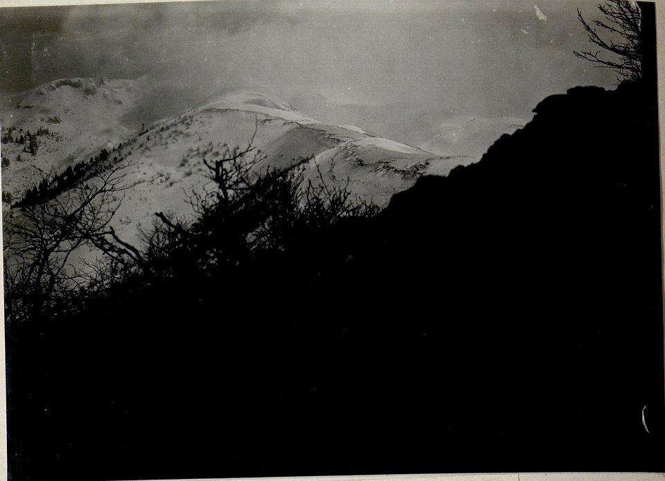 Panorama, Grappa-Gruppe. Standpunkt Monte Pertica. (3. Teilbild zu WK1 ALB083 24410a) (BildID 15633655)