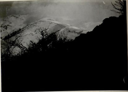 Panorama, Grappa-Gruppe. Standpunkt Monte Pertica. (3. Teilbild zu WK1 ALB083 24410a) (BildID 15633655)