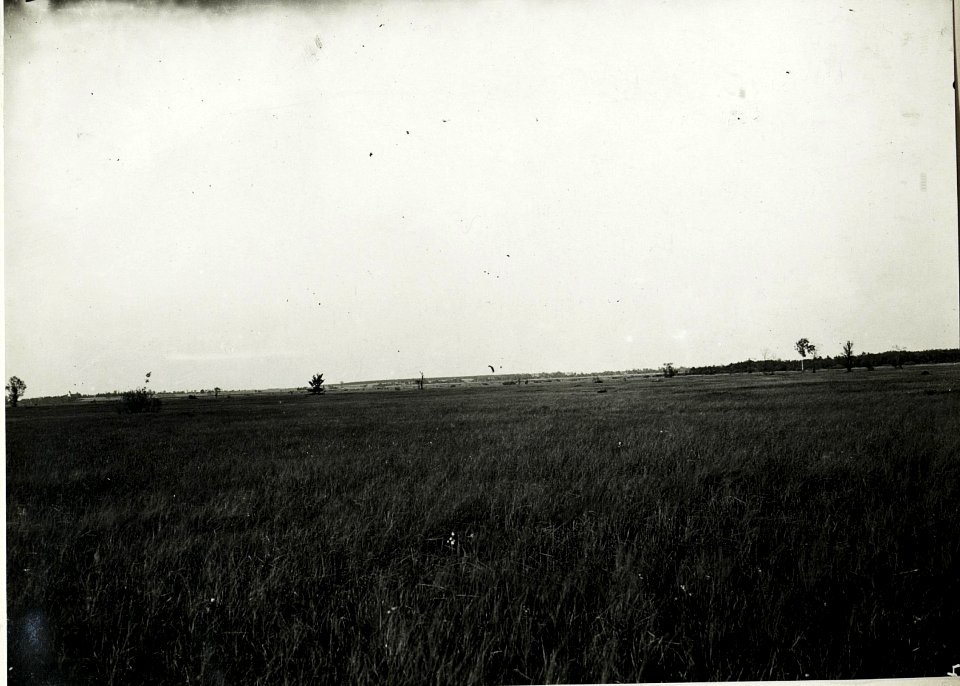 Panorama, Blick auf russisches Verteidigungsfeld von Nowa Brshesniza. (BildID 15589330)