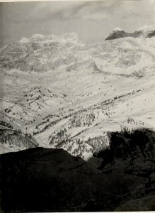 Panorama, Col di Lana, Monte Sief. Standpunkt, Saurassas. (2. Teilbild zu WK1 ALB82 24325a) (BildID 15629663)