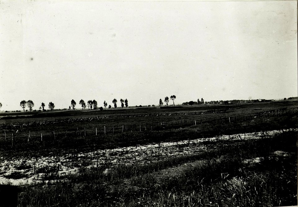 Panorama des russischen Vorfeldes zwischen Mniszkòw und Kolonie Jawòr. Im Vordergrund eigene Drahtverhaue. (BildID 15589930)