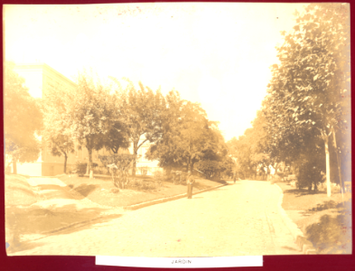 MG-53-013 (Hospital Rawson. Jardín.)