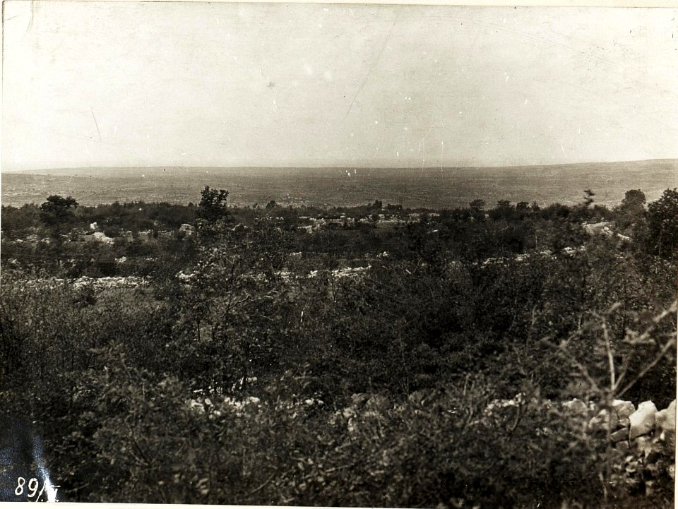 Panorama von Pecinka Kote 291, 29.9.1915. (BildID 15594698)