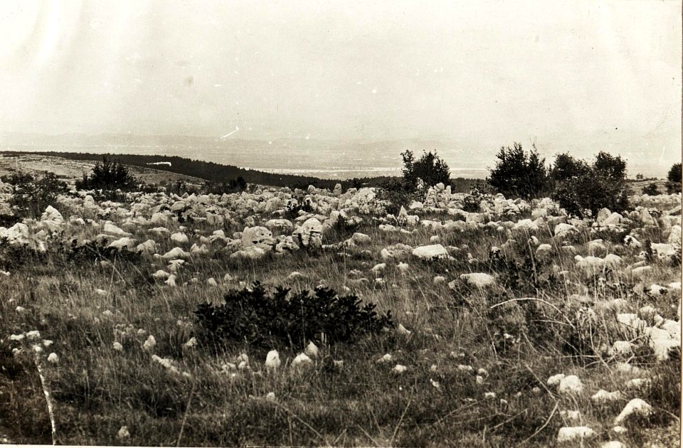 Panorama von Pecinka Kote 291, 29.9.1915. (BildID 15594726)