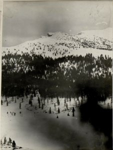 Panorama, Standpunkt Hochstand 9. (Cost' alta.) ( 1. Teilbild = WK1 ALB083 24369a) (BildID 15631700)