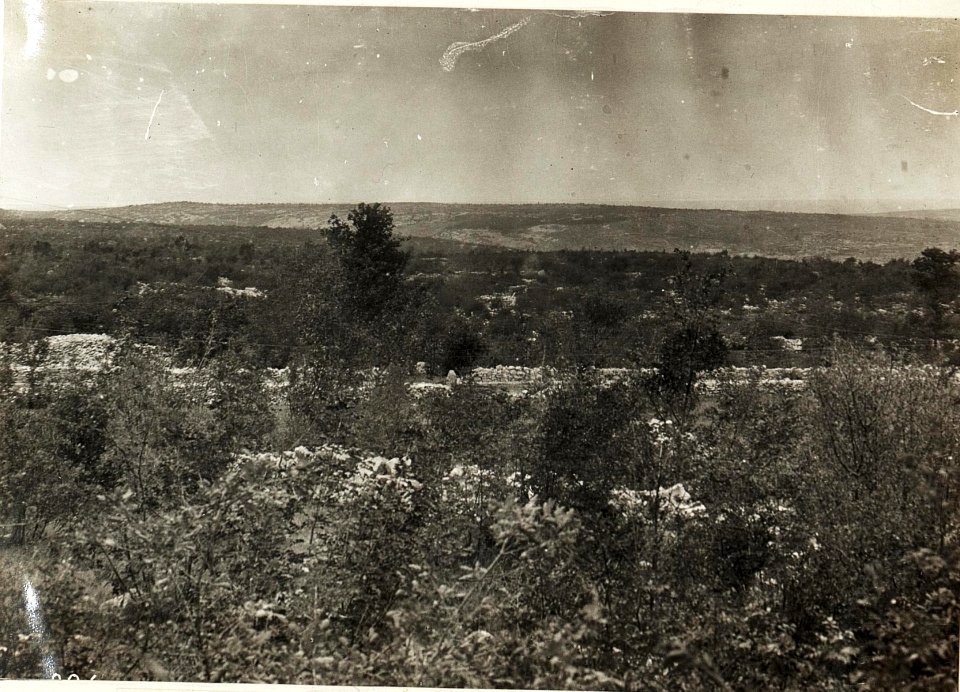 Panorama von Pecinka Kote 291, 29.9.1915. (BildID 15594691)